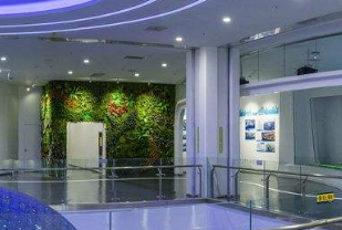 博物館設計 淺談博物館展覽設計如何讓進行呢?(圖1)
