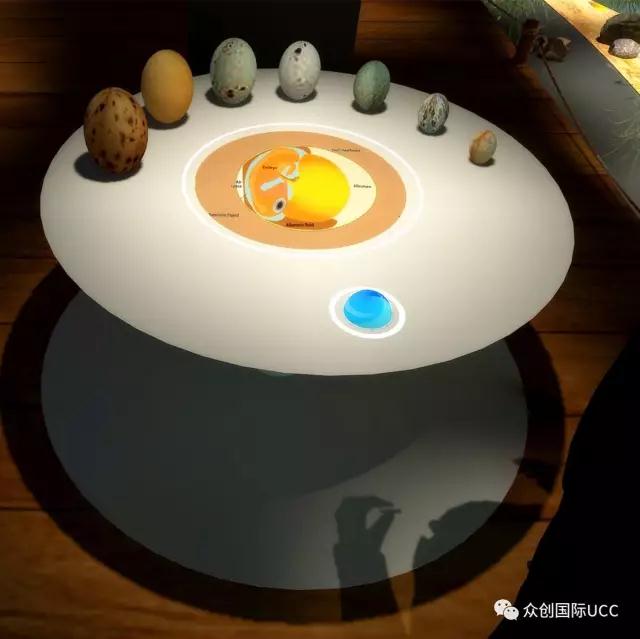 博物館設計案例-黃河口鳥類博物館(圖16)