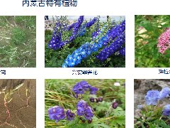 內蒙古科普展廳設計—案例續篇
