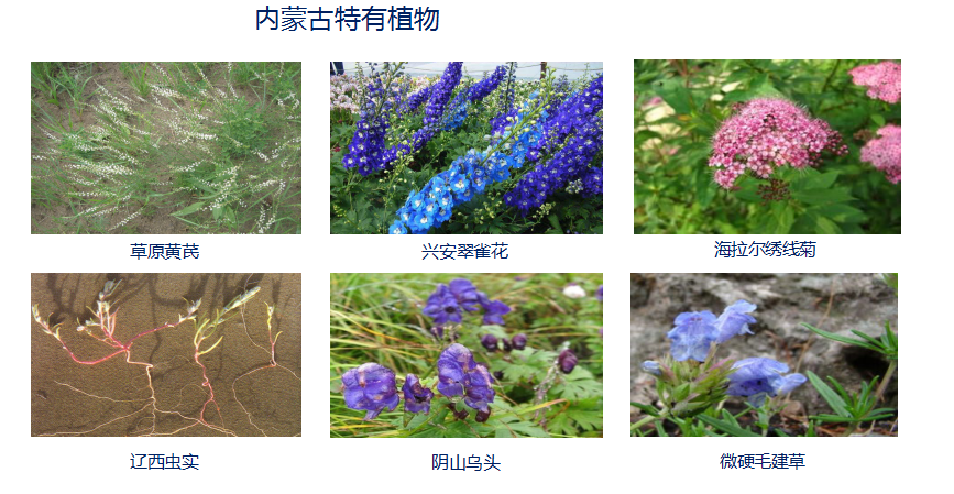 內蒙古科普展廳設計—案例續篇(圖5)