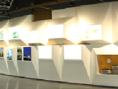 展廳設計的具體要求