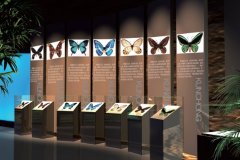UCC傾力打造昆蟲博物館 真實還原昆蟲王國 - 展廳