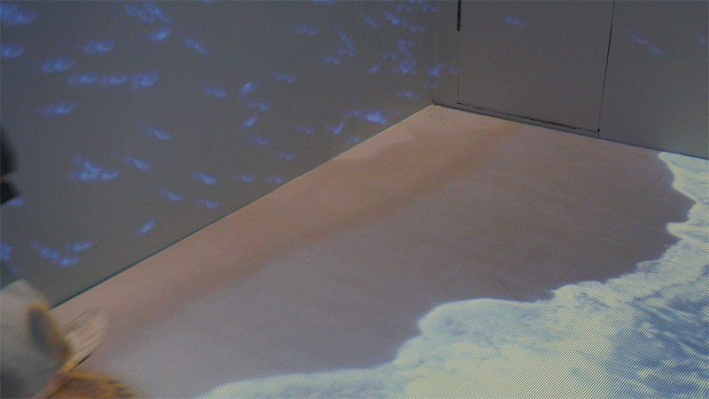 藍色海洋，凈塑自然沉浸式藝術展(圖15)