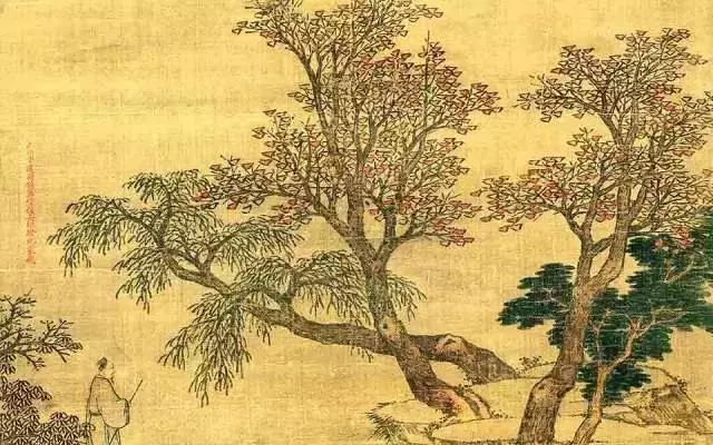 植樹節特輯 | 綠水青山就是金山銀山(圖4)