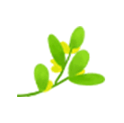 植樹節特輯 | 綠水青山就是金山銀山(圖13)