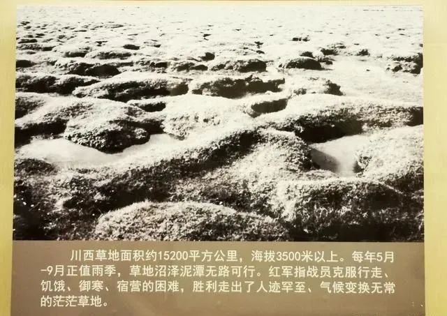 【建黨100周年】長征——偉大壯舉,不朽豐碑!(圖32)