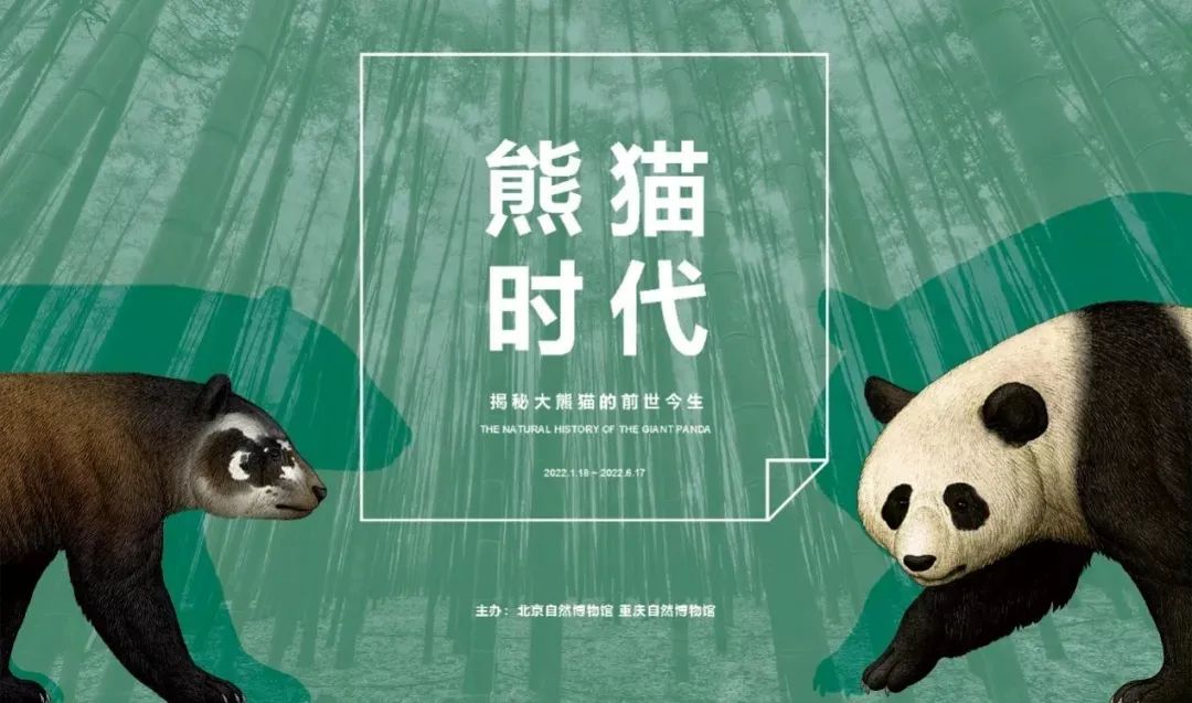 3月北京展訊丨最是一年春好處，最高人氣藝術大展等你去打卡...(圖10)