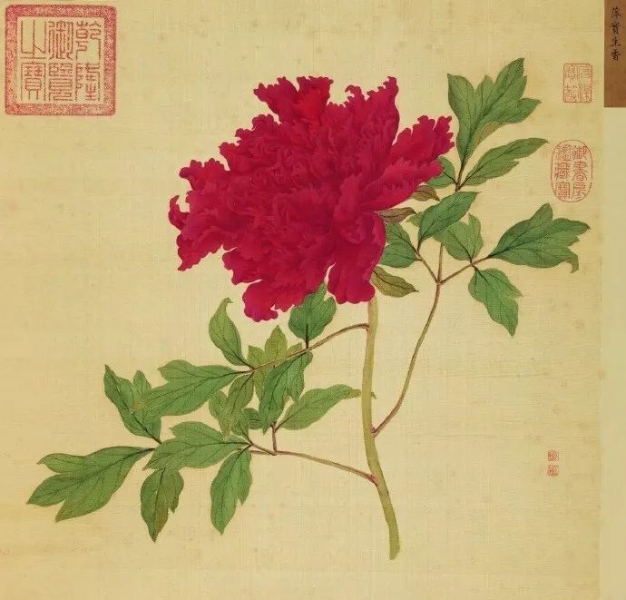 女神節之眾創國際的美麗傳說~