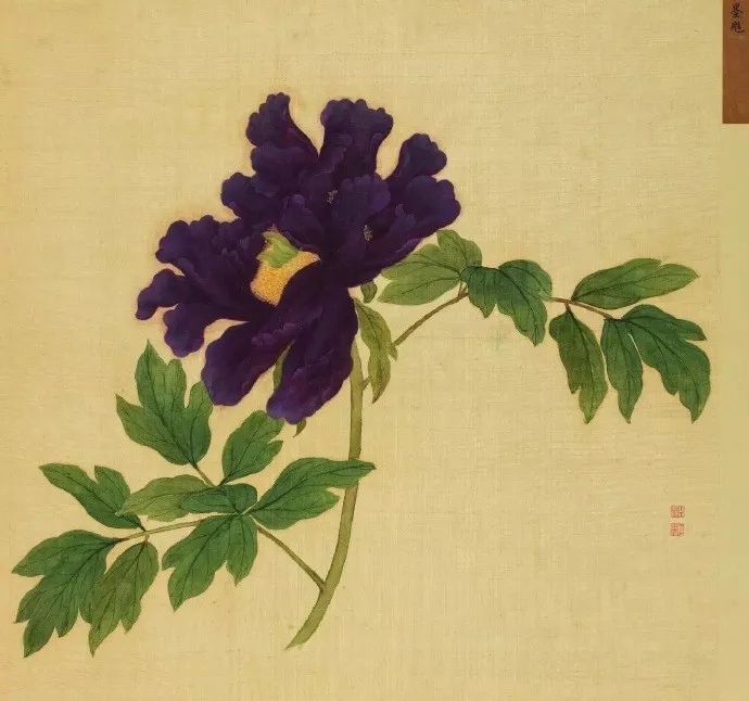 女神節之眾創國際的美麗傳說~(圖2)