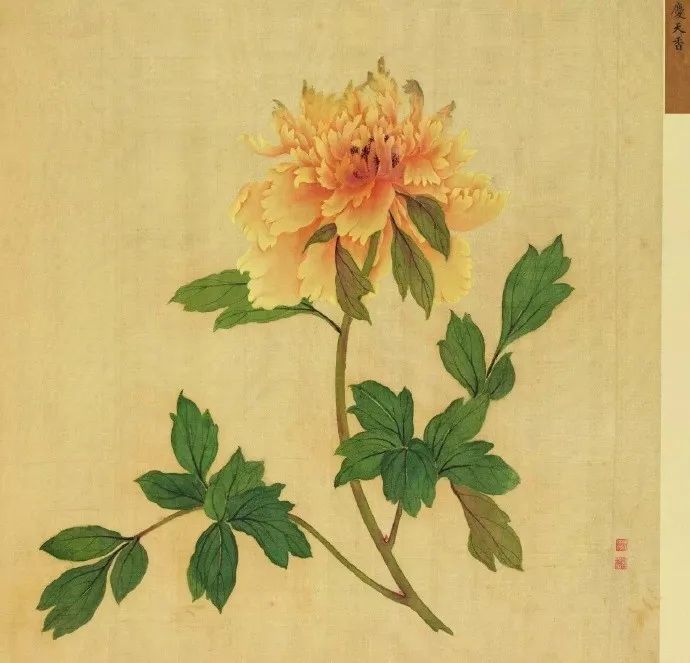 女神節之眾創國際的美麗傳說~(圖3)