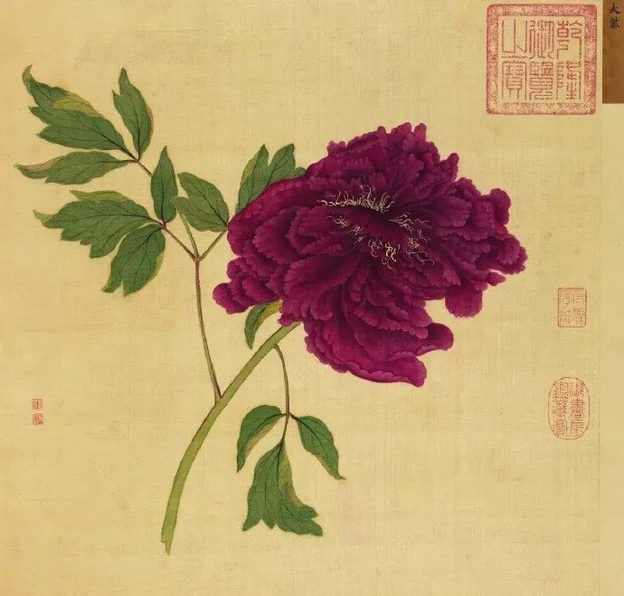 女神節之眾創國際的美麗傳說~(圖4)