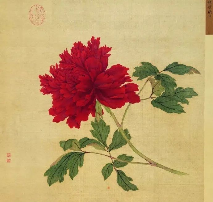 女神節之眾創國際的美麗傳說~(圖6)