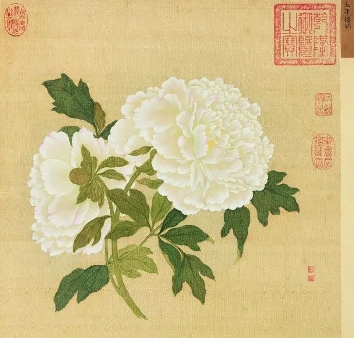 女神節之眾創國際的美麗傳說~(圖7)